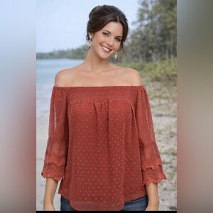 BEQUEMER LADEN Off Shoulder Top Sz XL Smocking Lined Beautiful Sheer Sleeves